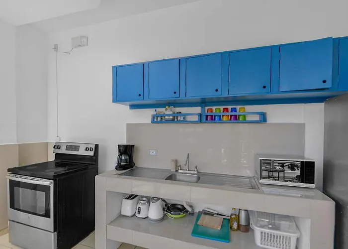 Surfo House &